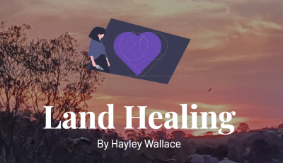 Land Healing by Hayley Wallace